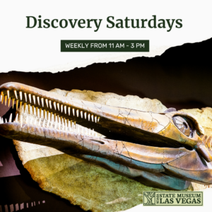 A large prehistoric marine reptile fossil with sharp teeth is displayed against a white and black background. Text reads: Discovery Saturdays, weekly from 11 AM – 3 PM. State Museum of Las Vegas logo is shown.